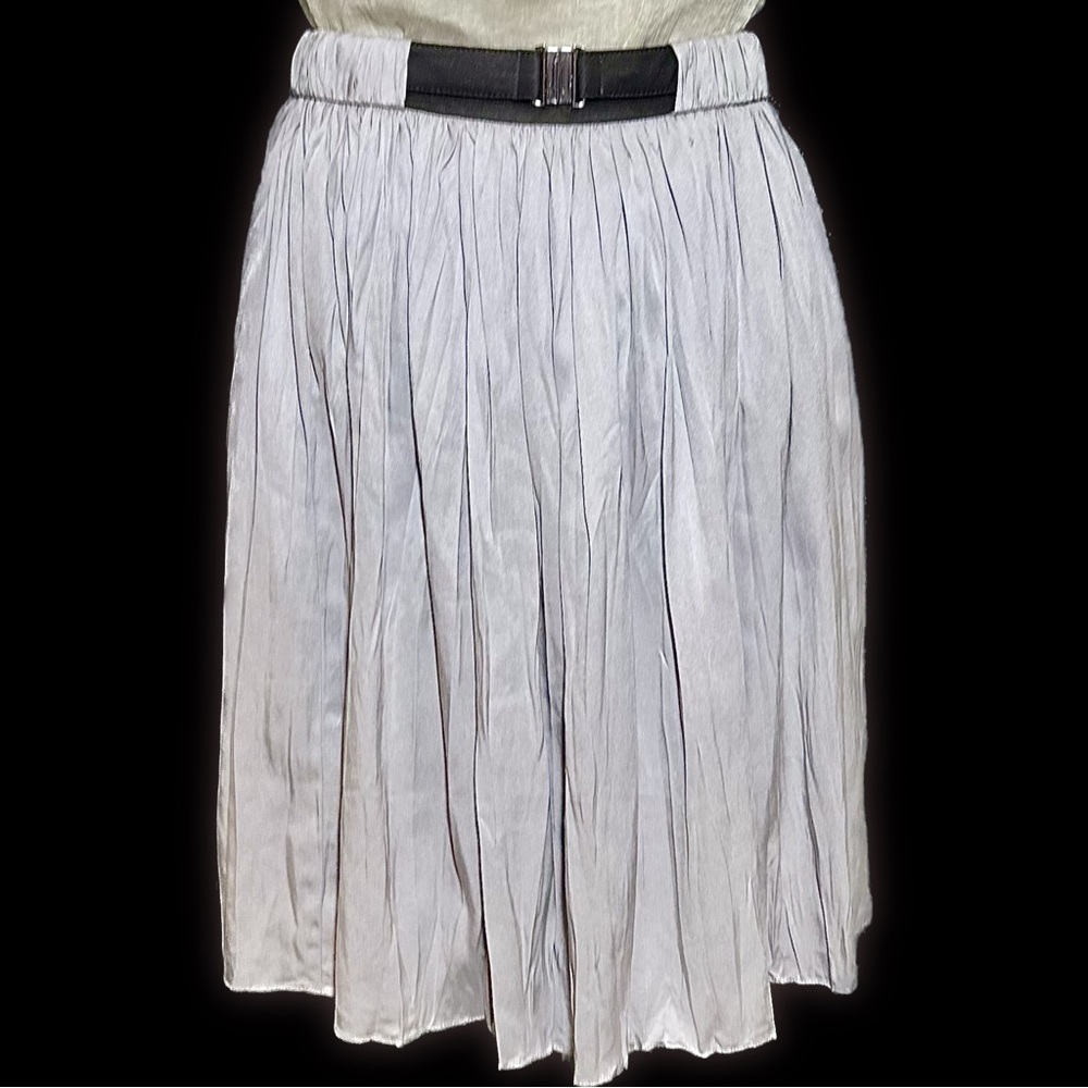 NWT Helios & Luna Silk Pleated Skirt